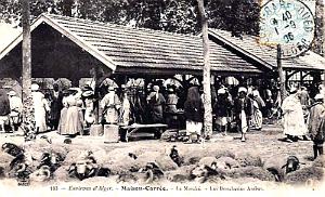 MAISON-CARREE - MARCHE - BOUCHERIES ARABES - 1906